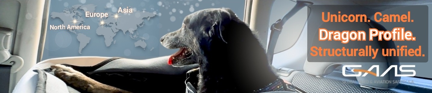 Unicorn. Camel. Dragon Profile. Structurally unified. | GAAS aviation automotive passenger safety startup